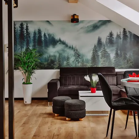 Zdrojowy Gosciniec - Apartment *