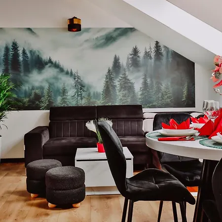 Apartament Zdrojowy - *